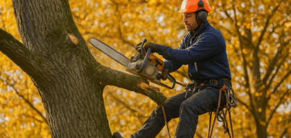 Chainsaw Tree Surgeon Nottingham